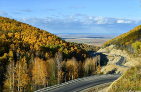 Купить путевку лайт в сибирь в Белокуриху